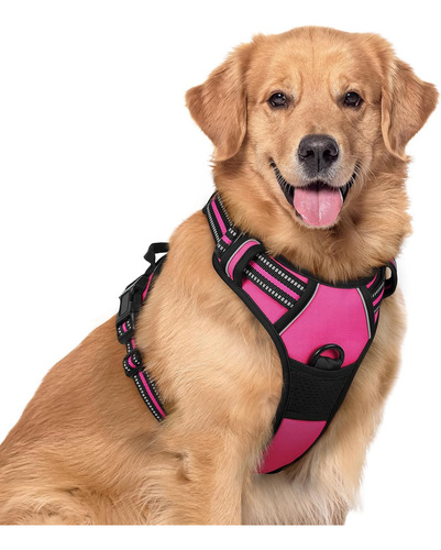 Arnés Para Perro Rabbitgoo, No Tirar, Ajustable, Xl
