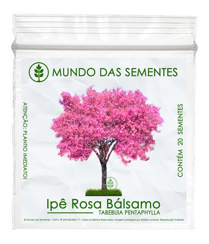 20 Sementes Ipê Rosa Tabebuia Pentaphylla Árvore
