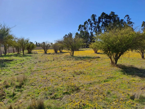Inversion Campo Y Naturaleza En Marchigue