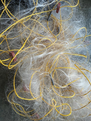 Trasmallo Para Mojarra Tilapia De 4m Alto Por 30 M Largo (Usado)