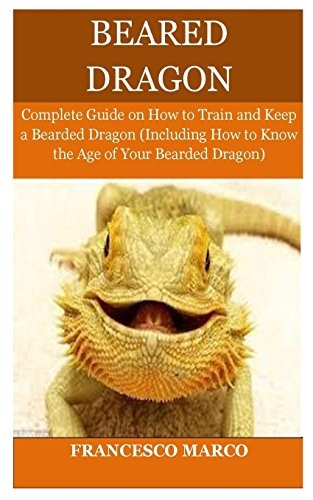 Bearded Dragon Complete Guide On How To Train And Keep A Bea