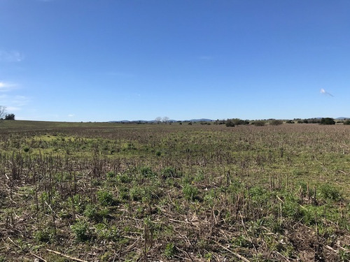 Muy Buen Campo Agricola Ganadero En Zona De Alta Productividad