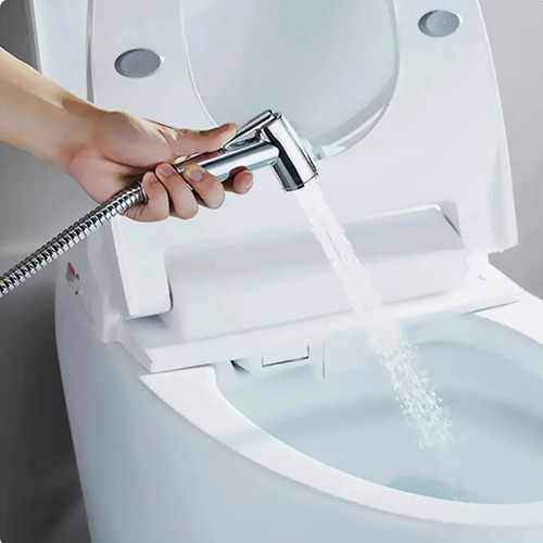 Kit Ducha Bidet Arabe Inodoro Wc Acero Inoxidable