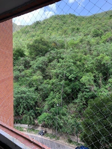 Imagen 13 de 30 de Ha Venta De Amplio Apartamento En Trigaleña Con Pozo De Agua Planta Eléctrica