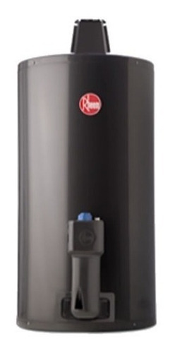 Imagen 2 de 3 de Rheem AEE TGNC080RH - Gris oscuro - 110V/220V