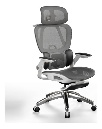 Silla De Oficina Ergonómica Ejecutiva Base Metal Cómodo Ouo