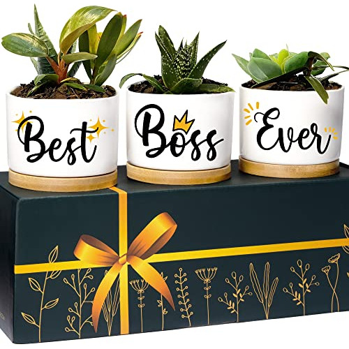 Boss Planters, Boss Lady Regalos Para Mujeres, Mejores R