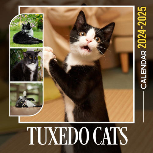 Libro: Tuxedo Cats Calendar 2024: Pets Calendar 2024 From Ja