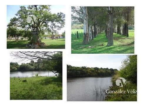Imagen 2 de 5 de Venta/campo