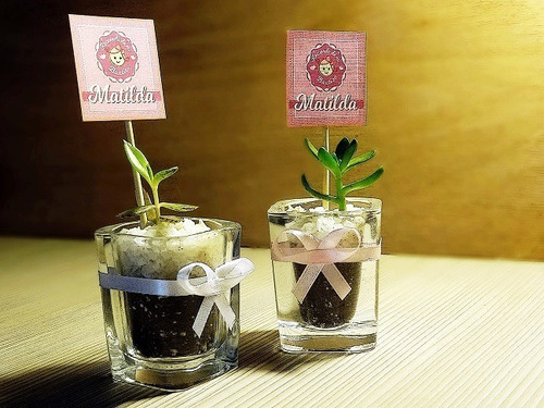 Recuerdos Cactus Encintados Plantas Para Matrimonios Regalos (Usado)