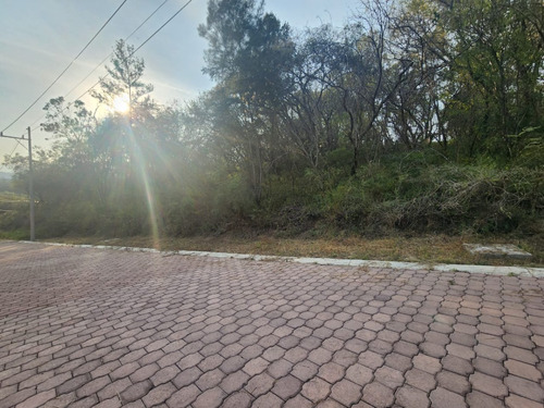 Venta Lote Gladiola 34 Cerca De Acceso Con Vistas Panorámicas Y Todos Los Servicios Inlcuyendo Proyecto En Fracc Rancho San Diego Ixtapan De La Sal Edomex