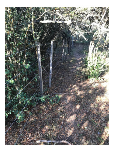 Imagen 2 de 7 de Campo En El Huayco Las Calles