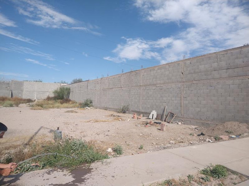 Terreno En Venta En Lagos