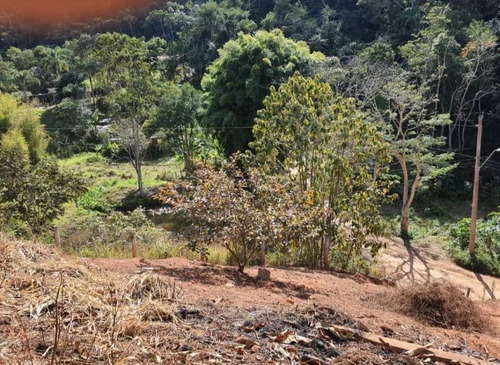 Imagem 30 de 30 de Chácara Com 2 Dormitórios À Venda, 2000 M² Por R$ 250.000,00 - Sete Voltas - Taubaté/sp - Ch0135