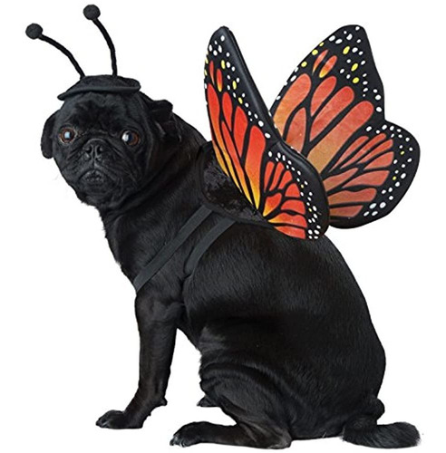 Disfraces De California Monarca Mariposa Traje De Mascota