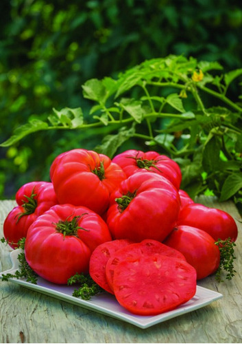 100 Semillas De Tomate Beefsteak + Instructivo