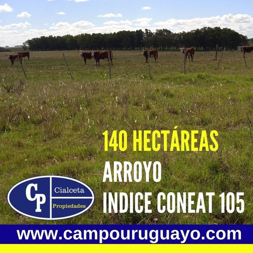 Campo De 140 Hectáreas Con Costa De Arroyo