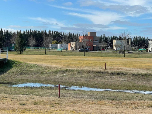 Imagen 5 de 6 de Lote Interno En Haras Del Sur Ii La Plata
