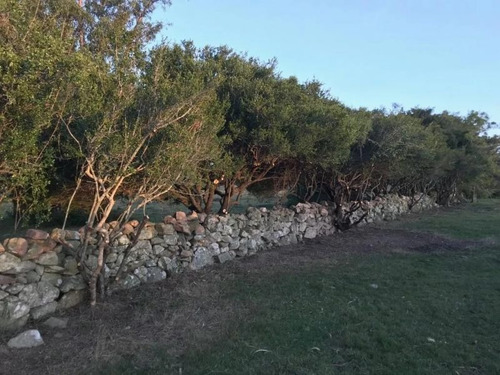 Campo De 35 Hectareas Sobre Ruta 12
