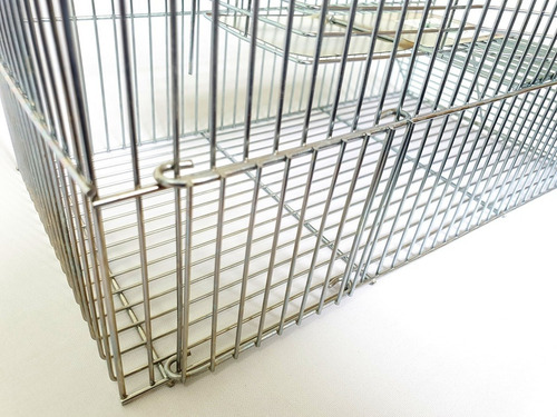 Ratoeira Para Ratos Camundongos Ratinhos Ratazanas