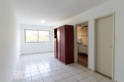Imagem 1 de 15 de Apartamento Para Aluguel - Jardim Santos Dumont, 1 Quarto, 34 - 893430821
