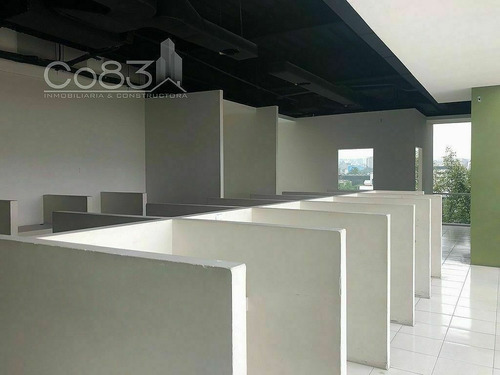 Imagen 2 de 14 de Renta - Oficina - Salvador Alvarado - 186 M2 - Piso 4