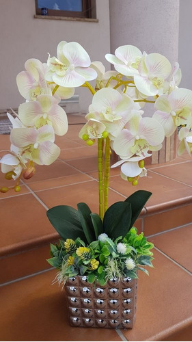 100 Semillas De Orquídea Color Blanco ( Germinación Rápida )