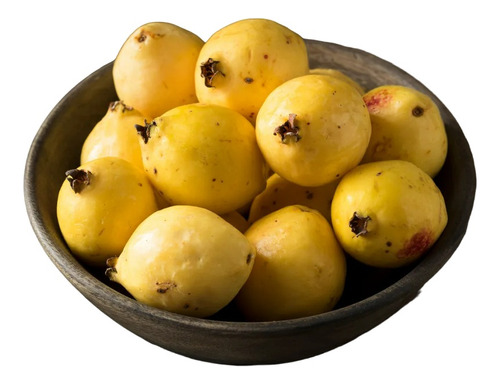 Guayaba Amarilla, Arbolitos Bonitos