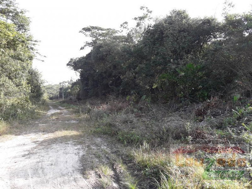 Terreno Para Venda Em Peruíbe, Guarau Garça Vermelha - 1706_2-719669