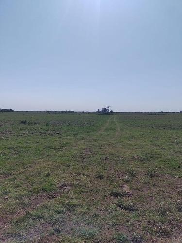 Imagen 2 de 11 de Campo - Talitas Gualeguaychu