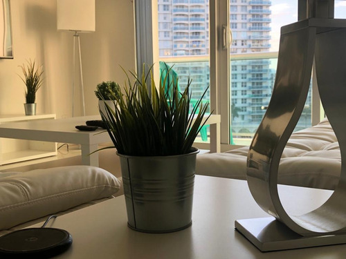 Alquiler Renta Departamentos En Miami Sobre El Mar, Con Acceso Directo A La Piscina Y La Playa. 1 Y 2 Dormitorios. No Somos Intermediarios, Tenemos Los Departamentos