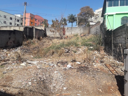 Imagem 12 de 25 de Lote Para Comprar No Palmares Em Belo Horizonte/mg - 15744