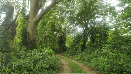 Vendo Hermosa Hacienda Ubicada En San Felipe Edo. Yaracuy Yb