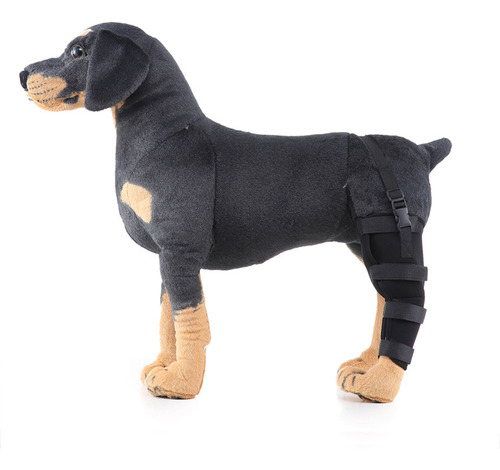 S - Recuperación Posoperatoria Para Patas De Perro