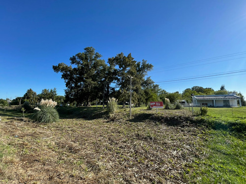 Venta Lote-bavio-magdalena-barrio Los Naranjos
