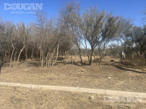 Terreno Comercial En Venta - Merlo San Luis