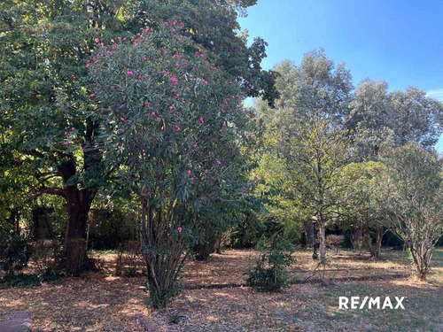 Imagen 14 de 30 de Alquiler Quinta De 5477 Mts S/ruta 8 - Pilar -