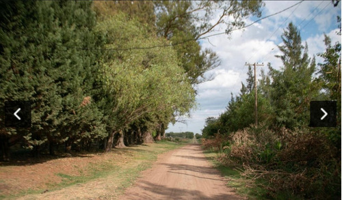 Imagen 11 de 23 de Hermoso Campo De 10 Ha En Cardales - Exaltacion De La Cruz