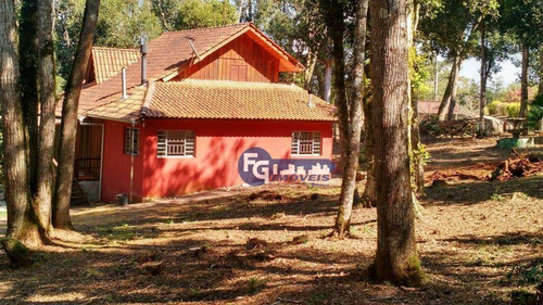 Imagem 8 de 25 de Chácara Com 2 Dormitórios À Venda, 5400 M² Por R$ 319.000,00 - Campestre Da Faxina - São José Dos Pinhais/pr - Ch0013