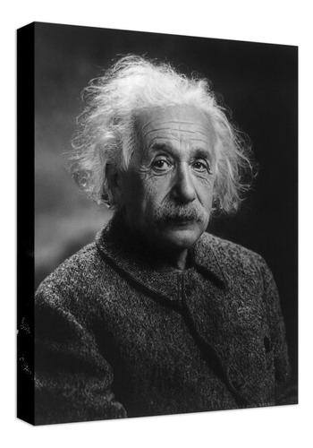 Cuadro Decorativo Canvas Albert Einstein Retrato Calidad Hd Color Natural Armazón Natural