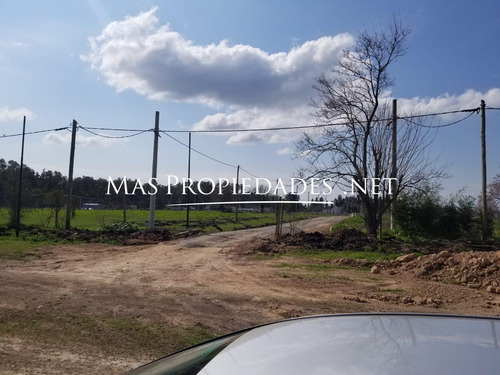 Imagen 12 de 17 de Lote En City Bell Las Banderitas