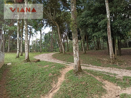 Imagem 9 de 15 de Chácara Em Finco - São Bernardo Do Campo - 11330