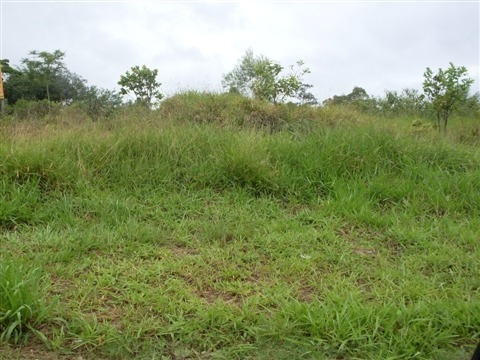 Imagem 10 de 10 de Área À Venda No Éden - Sorocaba/sp - Ar0177 - 820643