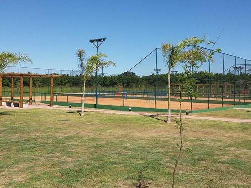 Imagem 12 de 27 de Terreno À Venda Em Duas Marias - Te281105