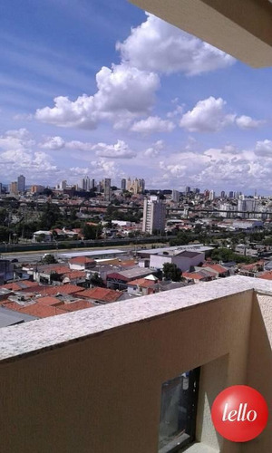 Comercial/industrial - Ref: 213314