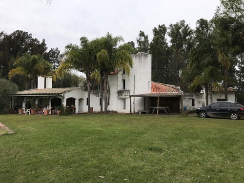 Imagen 3 de 10 de Oportunidad De 37.600 Mts En La Pista C/gran Casa De Campo
