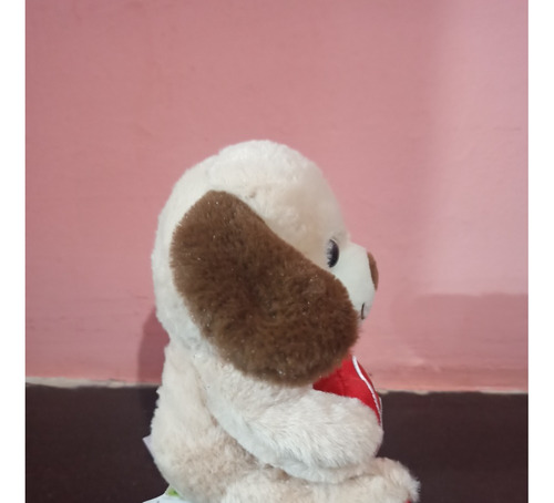 Peluche Perrito Con Corazón
