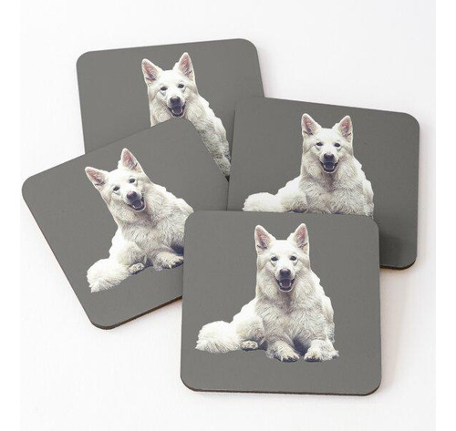 Set Posavasos Pastor Blanco Suizo Calidad Premium