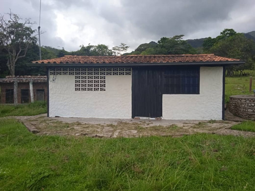 Imagen 17 de 28 de Vende Espectacular Finca La Esperanza En El Municipio San Cristobal, Estado Tachira. Lino Juvinao