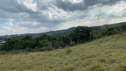 Imagem 9 de 14 de 16- Terrenos Na Cidade De Jacareí,com Excelente Acesso